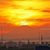 夕景　行徳にて