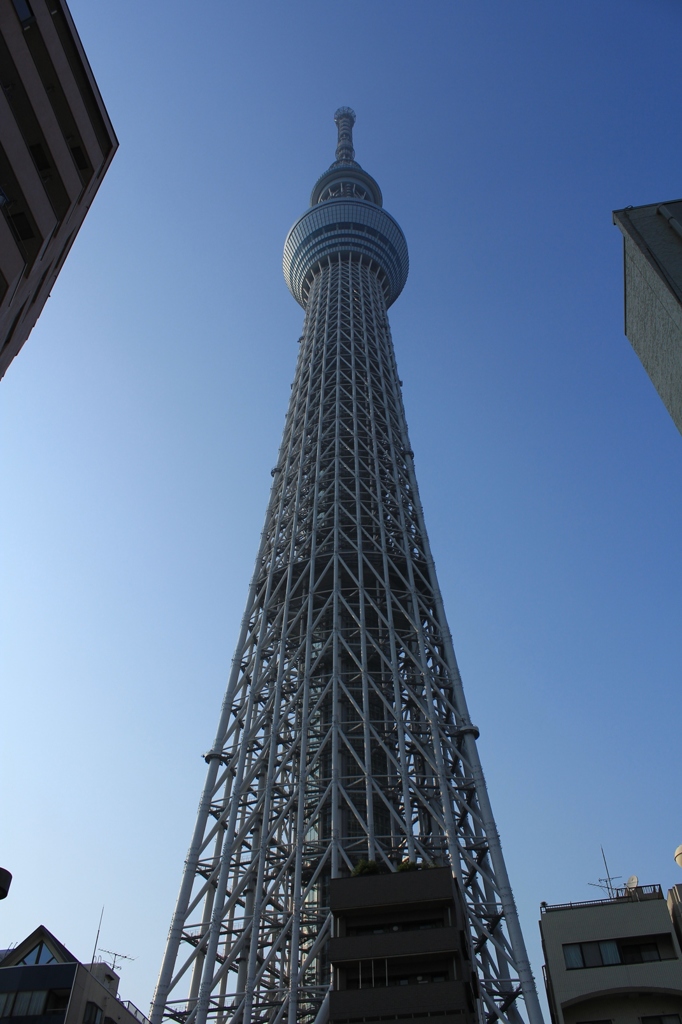 タワービュー通りを歩いてみたら･･･⑰到着、やっぱりデカイね