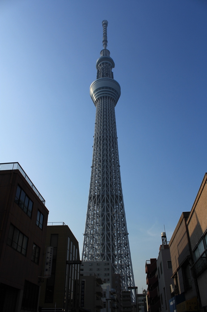 タワービュー通りを歩いてみたら･･･⑯なんか寂しいね