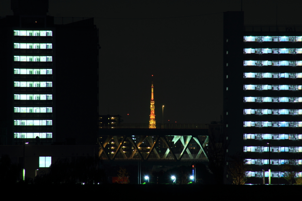 五色桜大橋へ向かって　＃6