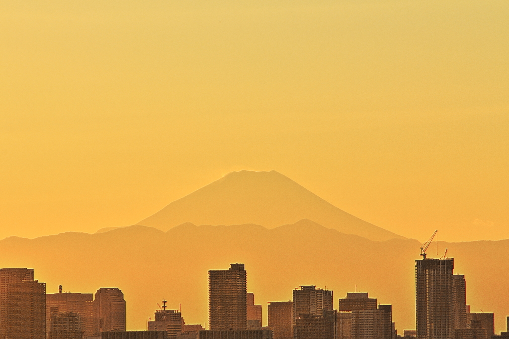 東京山脈と富士山　高さ１１５Mからの夕景＃４