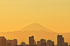 東京山脈と富士山　高さ１１５Mからの夕景＃４