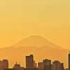 東京山脈と富士山　高さ１１５Mからの夕景＃４