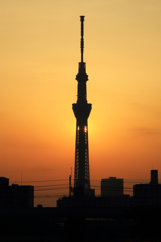 公園夕景　ST.シルエット①