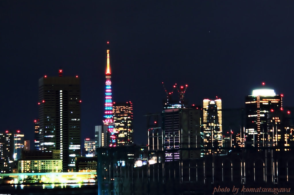 枠組足場たて枠と東京タワー