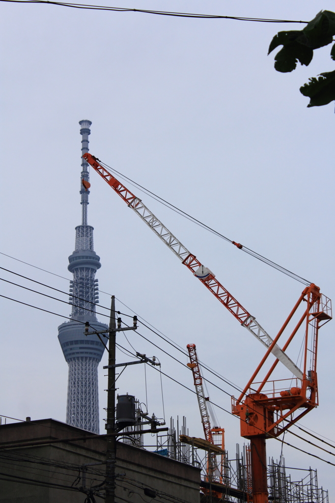 東京街並　ツリー