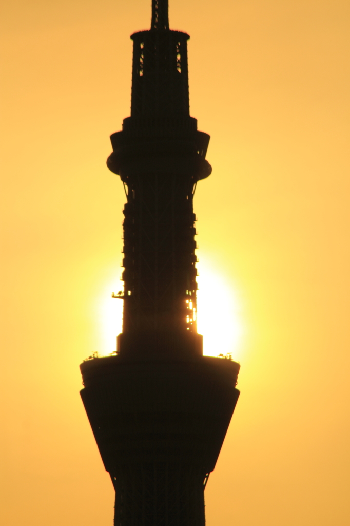 公園夕景　ST.シルエット②