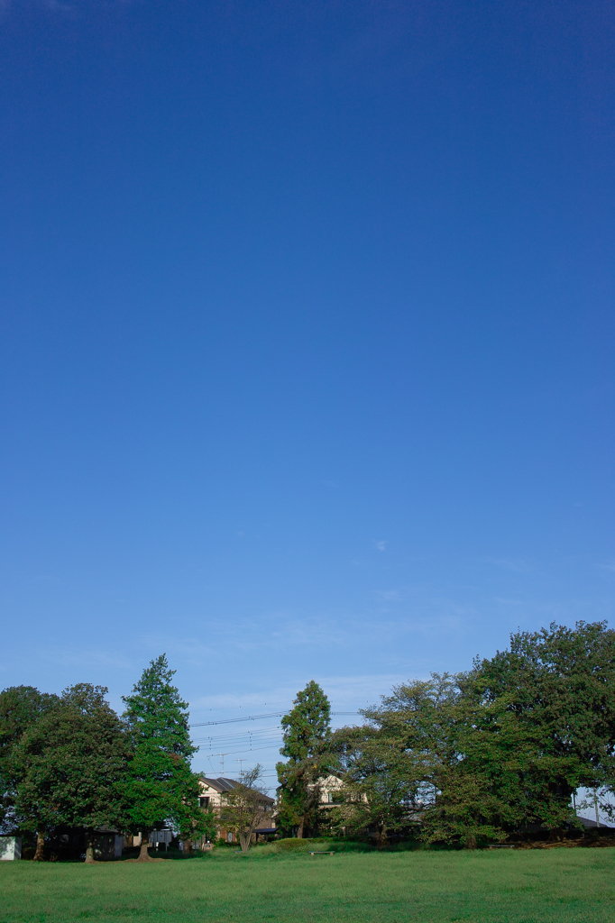 空