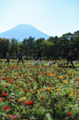 富士と花の間のアビィロード