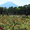 富士と花の間のアビィロード