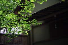庭園にて