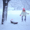九州っ子、初めての大雪にはしゃぐ