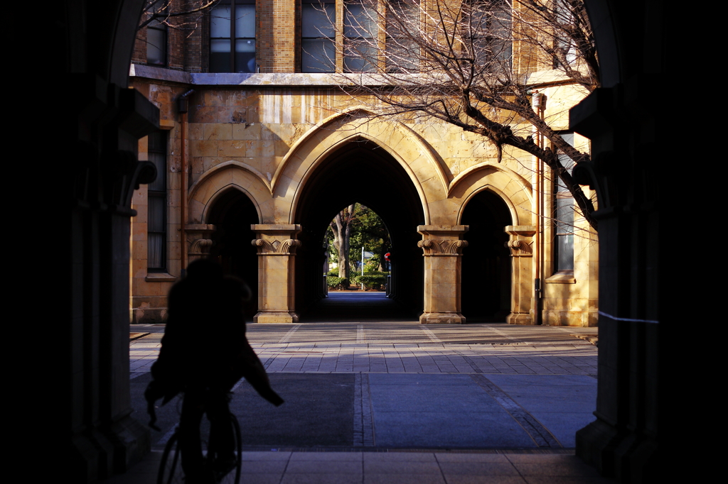 東京大学①_自転車