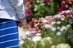 春の花に和む女性