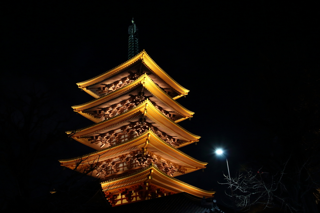 浅草 五重塔