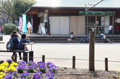昼下がりの公園