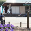 昼下がりの公園