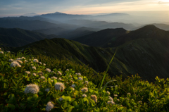 山景