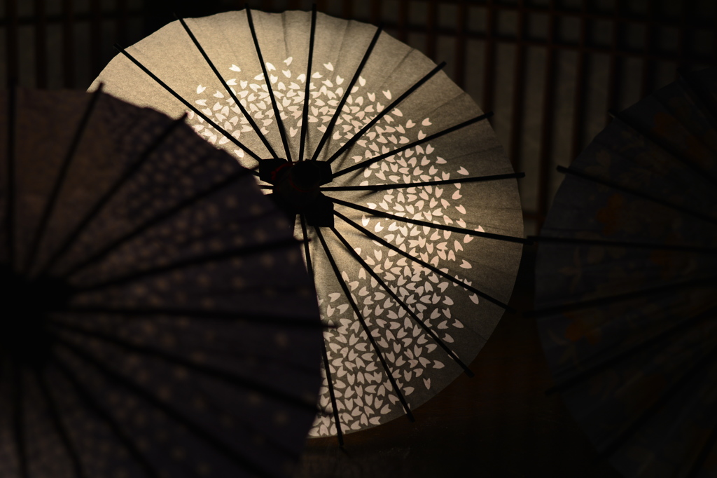 和傘「しろ」