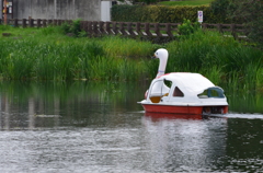 水遊び