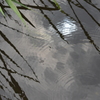 雨あがり