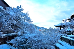 雪化粧（京都）