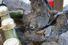 お魚の手水