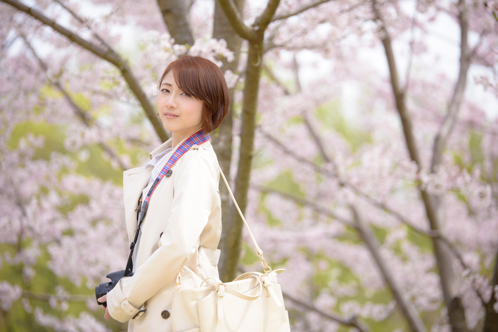 桜ポートレート