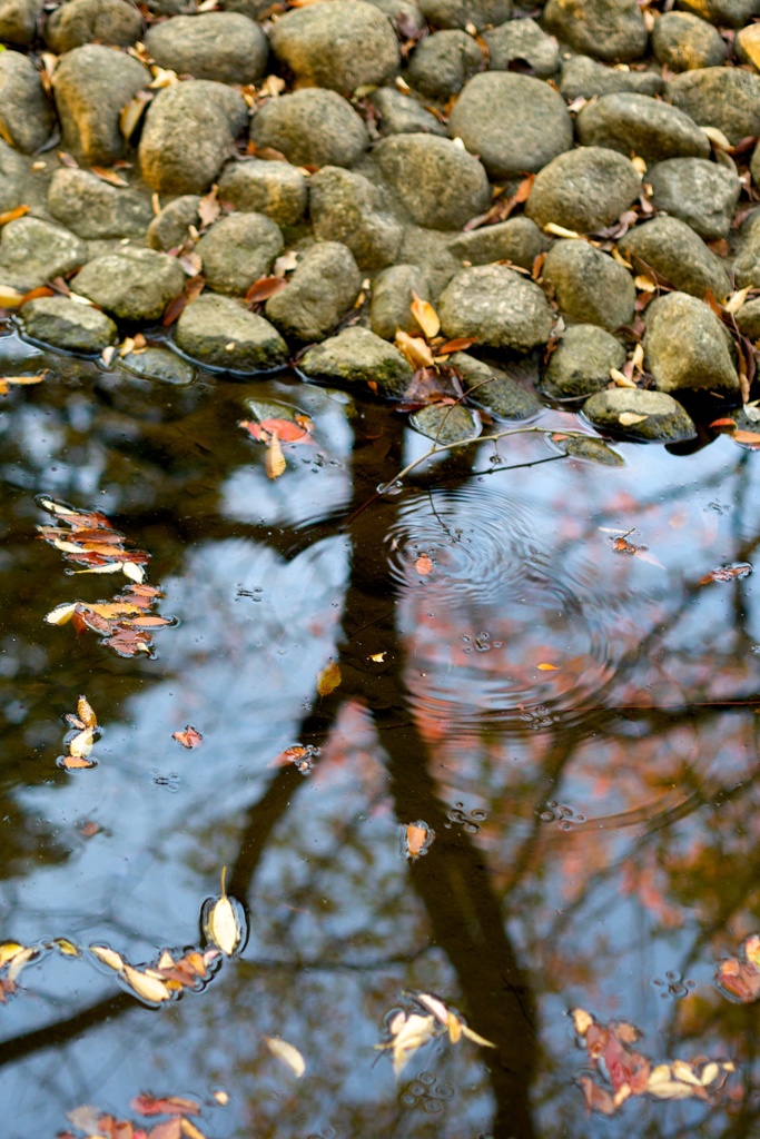 水鏡