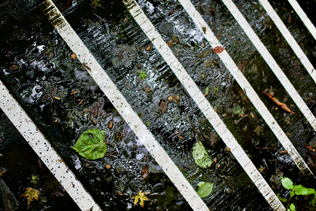 雨階段