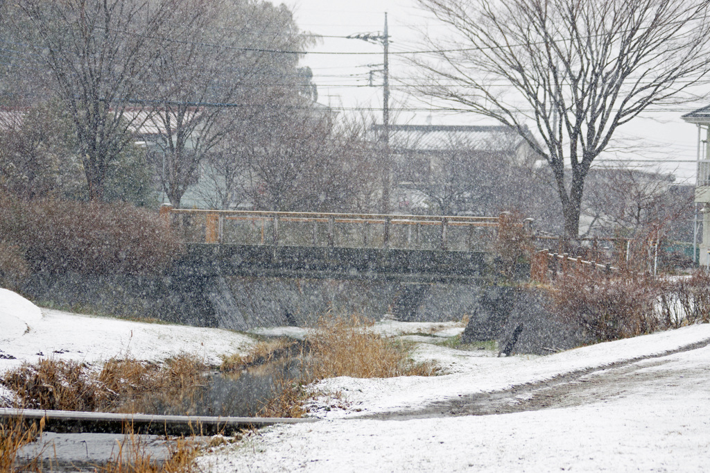雪の中橋