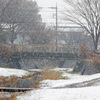 雪の中橋