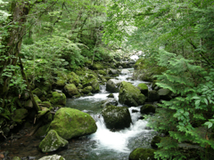 静涼