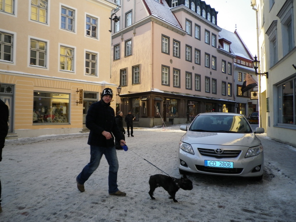 IMGP2207