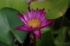 IMGP2532