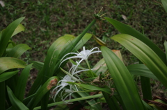 IMGP2547