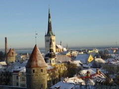 IMGP2227
