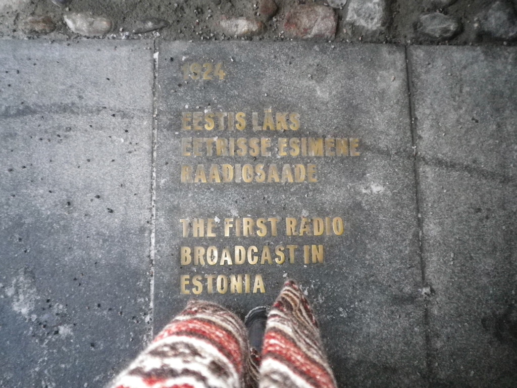 IMGP2210