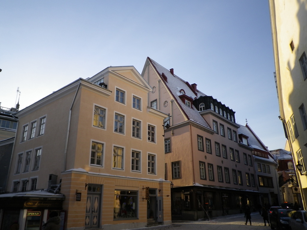 IMGP2203