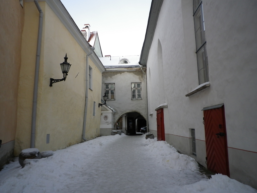 IMGP2208