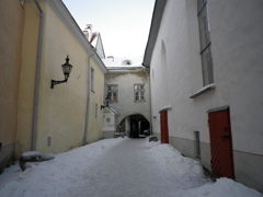 IMGP2208