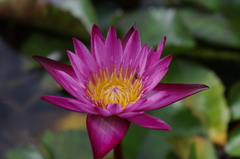 IMGP2535
