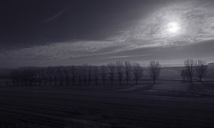 clair de lune/月光