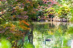 六義園にて