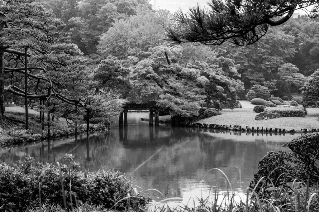 雨の六義園にて