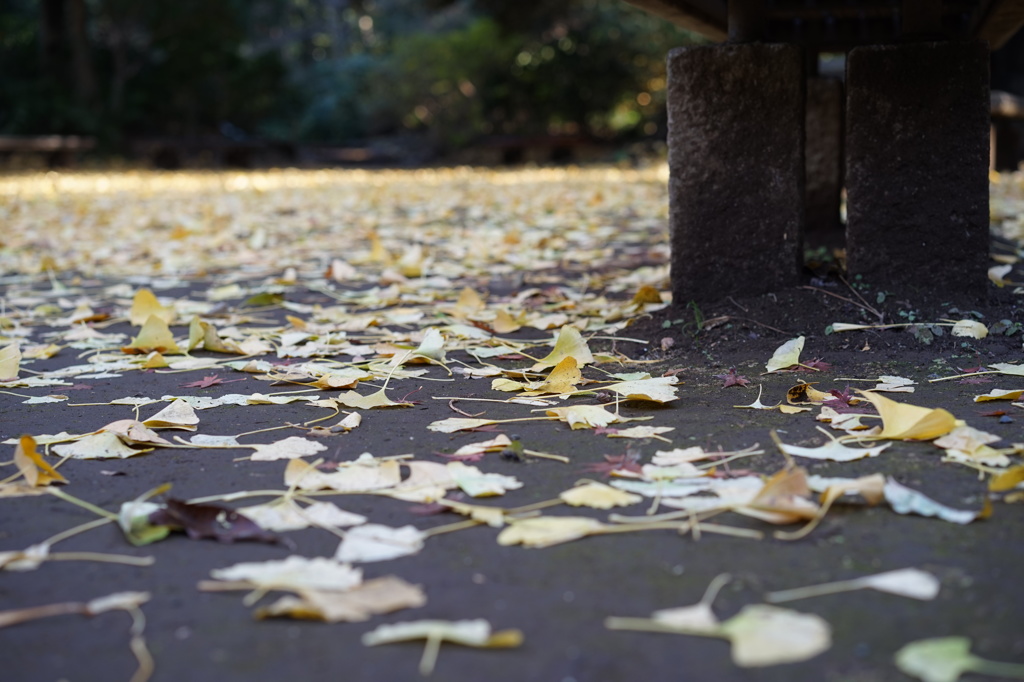 六義園