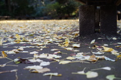 六義園