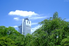 小石川後楽園にて