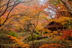 六義園にて