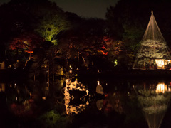 六義園のライトアップ